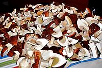 Foto Fungo Porcino in Olio/ Porcino_in_Olio_012