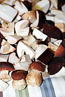 Foto Fungo Porcino in Olio/ Porcino_in_Olio_014