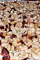 Foto Fungo Porcino in Olio/ Porcino_in_Olio_026