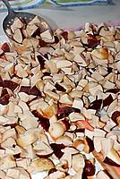 Foto Fungo Porcino in Olio/ Porcino_in_Olio_027