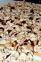 Foto Fungo Porcino in Olio/ Porcino_in_Olio_030