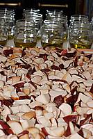 Foto Fungo Porcino in Olio/ Porcino_in_Olio_033