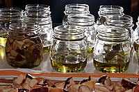 Foto Fungo Porcino in Olio/ Porcino_in_Olio_035