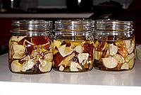 Foto Fungo Porcino in Olio/ Porcino_in_Olio_040