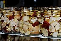 Foto Fungo Porcino in Olio/ Porcino_in_Olio_048