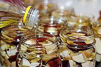 Foto Fungo Porcino in Olio/ Porcino_in_Olio_050