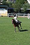 Foto Gara di Equitazione 2008 - Pt2 Equitazione_Borgotaro_2008_010