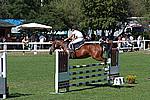 Foto Gara di Equitazione 2008 - Pt2 Equitazione_Borgotaro_2008_015