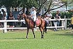 Foto Gara di Equitazione 2008 Equitazione_2008_004