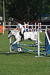 Foto Gara di Equitazione 2008 Equitazione_2008_012