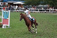 Foto Gara di Equitazione 2009 - Pt2 Equitazione_2009_005