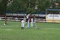 Foto Gara di Equitazione 2009 - Pt2 Equitazione_2009_010