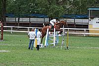 Foto Gara di Equitazione 2009 - Pt2 Equitazione_2009_031