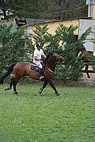 Foto Gara di Equitazione 2009 - Pt2 Equitazione_2009_039