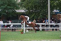 Foto Gara di Equitazione 2009 - Pt2 Equitazione_2009_043