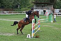 Foto Gara di Equitazione 2009 - Pt2 Equitazione_2009_048