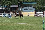 Foto Gara di Equitazione 2009 Equitazione_09_024