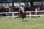 Foto Gara di Equitazione 2009 Equitazione_09_073