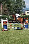 Foto Gara di Equitazione 2009 Equitazione_09_123