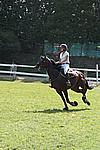 Foto Gara di Equitazione 2009 Equitazione_09_218