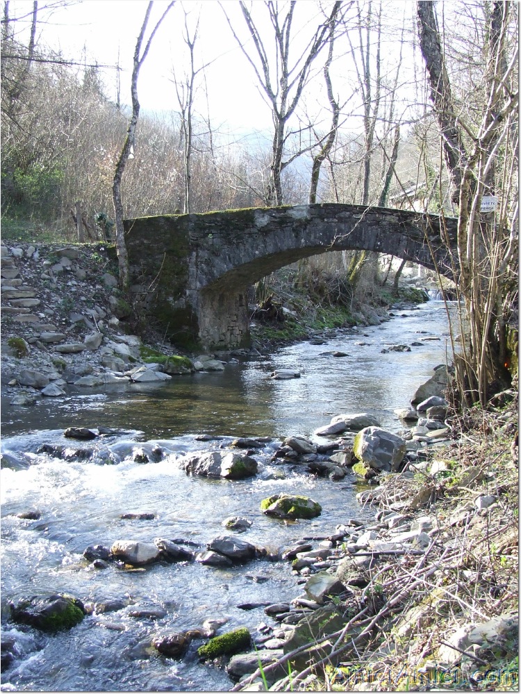 Gelana di Bedonia 028 423 KB