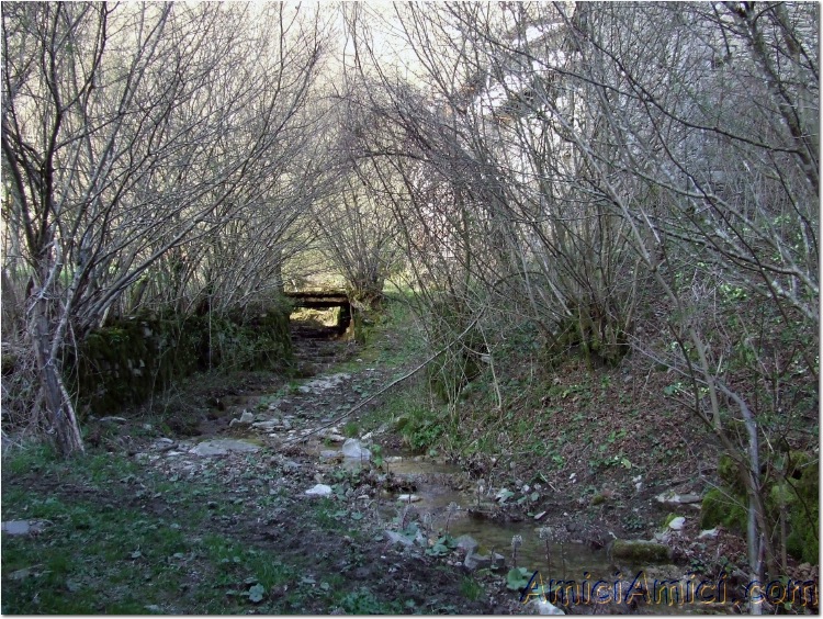 Gelana di Bedonia 057 247 KB