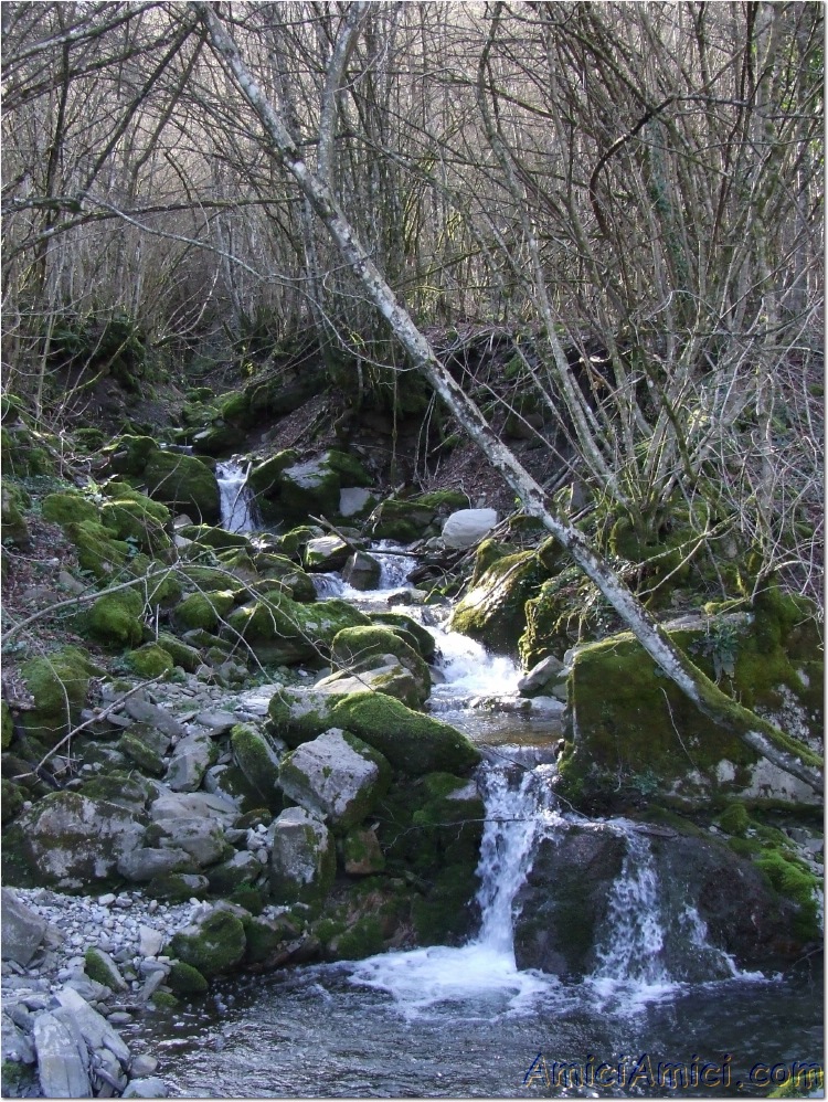 Gelana di Bedonia 065 404 KB