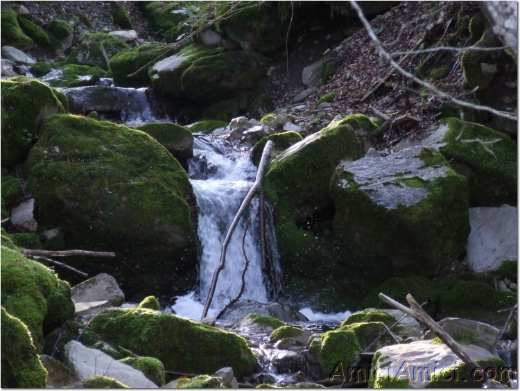 Gelana di Bedonia 067 164 KB