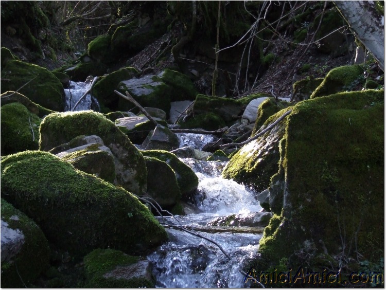 Gelana di Bedonia 070 167 KB