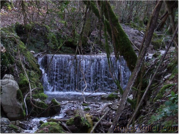 Gelana di Bedonia 079 205 KB