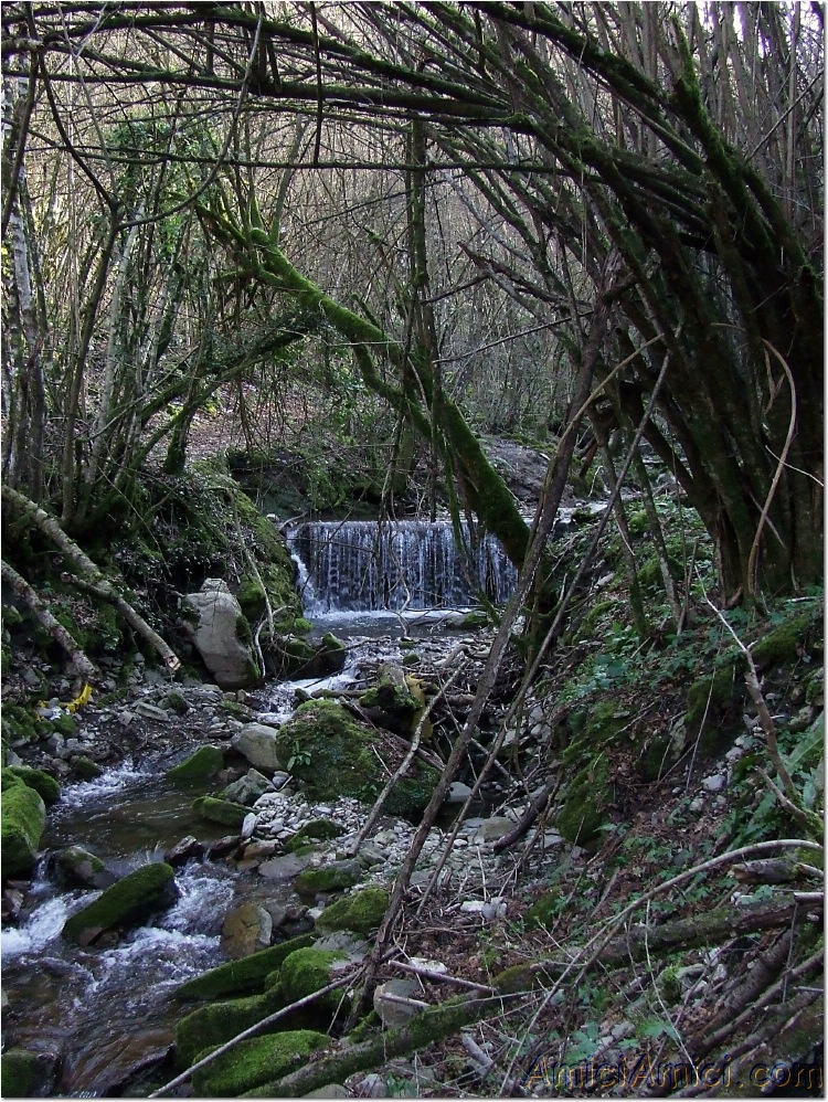 Gelana di Bedonia 080 435 KB