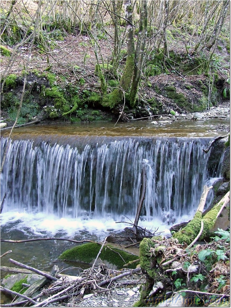 Gelana di Bedonia 085 448 KB