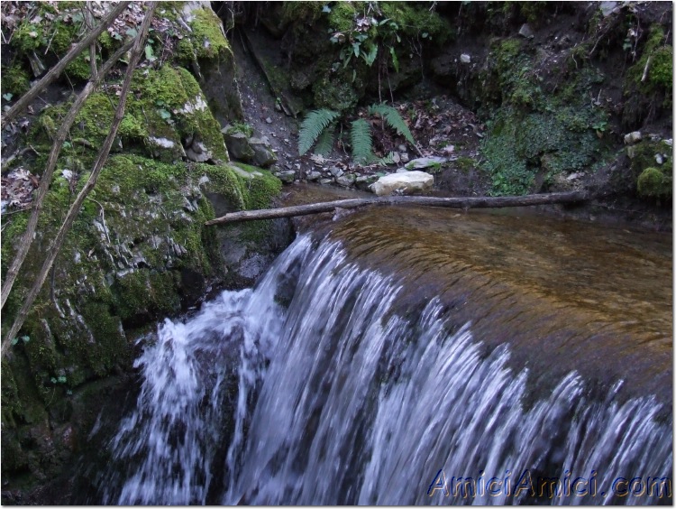 Gelana di Bedonia 086 190 KB