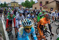 Foto Giro Italia 2013 - Roncole Verdi/ Giro_Italia_2013_039