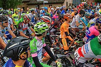 Foto Giro Italia 2013 - Roncole Verdi/ Giro_Italia_2013_093