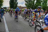 Foto Giro Italia 2013 - Roncole Verdi/ Giro_Italia_2013_115