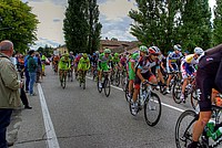 Foto Giro Italia 2013 - Roncole Verdi/ Giro_Italia_2013_117