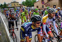 Foto Giro Italia 2013 - Roncole Verdi Giro_Italia_2013_042