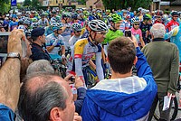 Foto Giro Italia 2013 - Roncole Verdi Giro_Italia_2013_076