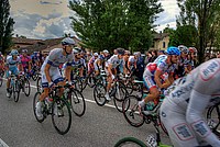 Foto Giro Italia 2013 - Roncole Verdi Giro_Italia_2013_103