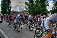 Foto Giro Italia 2013 - Roncole Verdi Giro_Italia_2013_104