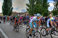 Foto Giro Italia 2013 - Roncole Verdi Giro_Italia_2013_105