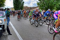 Foto Giro Italia 2013 - Roncole Verdi Giro_Italia_2013_107