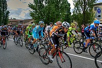 Foto Giro Italia 2013 - Roncole Verdi Giro_Italia_2013_110