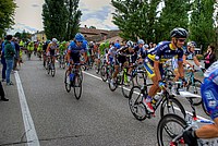 Foto Giro Italia 2013 - Roncole Verdi Giro_Italia_2013_115