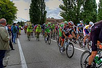 Foto Giro Italia 2013 - Roncole Verdi Giro_Italia_2013_117