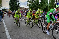 Foto Giro Italia 2013 - Roncole Verdi Giro_Italia_2013_119