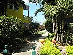 Foto Jamaica/ Jamaica_009