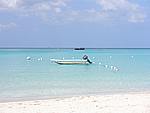 Foto Jamaica/ Jamaica_043