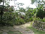 Foto Jamaica/ Jamaica_088